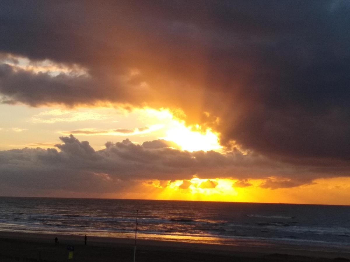 Duinen Paradijs Apartment Zandvoort